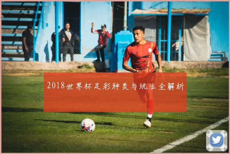 2018世界杯足彩种类与玩法全解析