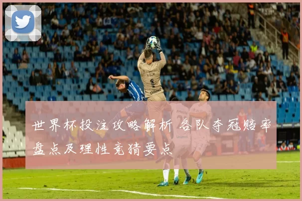 世界杯投注攻略解析 各队夺冠赔率盘点及理性竞猜要点