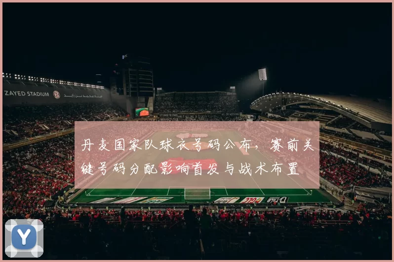 丹麦国家队球衣号码公布,赛前关键号码分配影响首发与战术布置