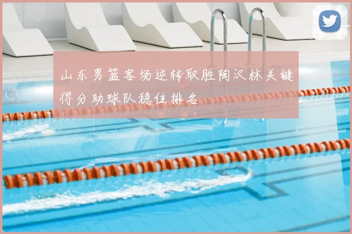 山东男篮客场逆转取胜陶汉林关键得分助球队稳住排名