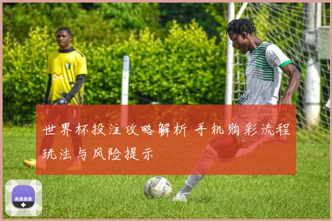世界杯投注攻略解析 手机购彩流程玩法与风险提示